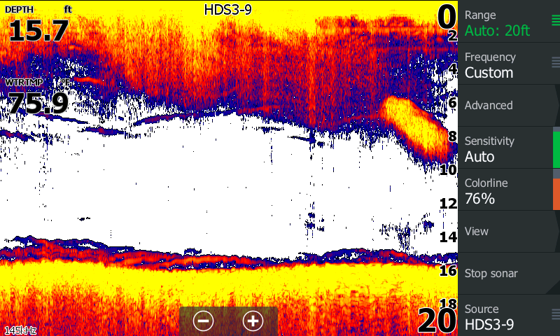 What bottom-oriented fish species is indicated in the sonar capture?