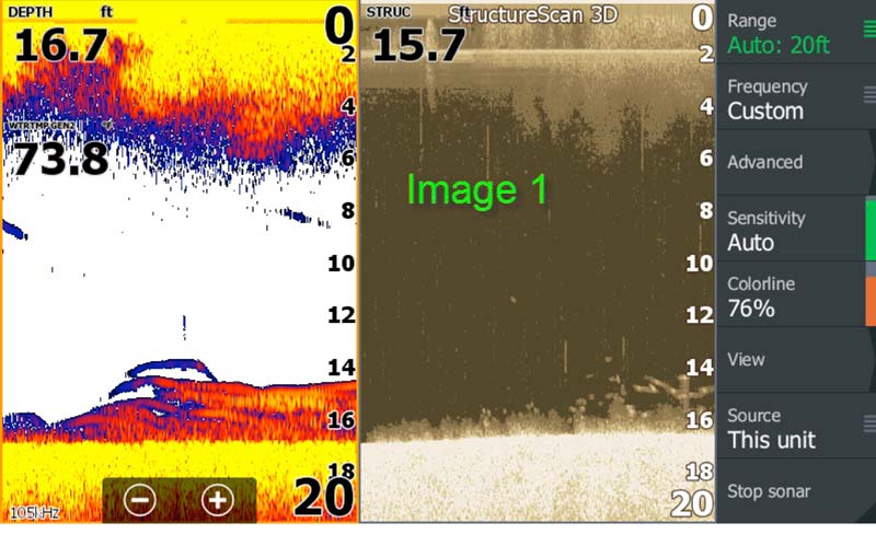 Guess the correct fish specie, as shown in the sonar image